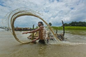 A farmers washing jute fibres in the marsh at a village in Madaripur, Bangladesh.